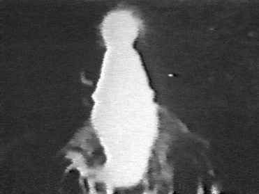 Photo of the apparition of Virgin Mary in Her full body in Zeitoun