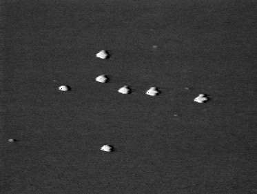 Seven luminous heavenly bodies shaped like doves and forming a cross